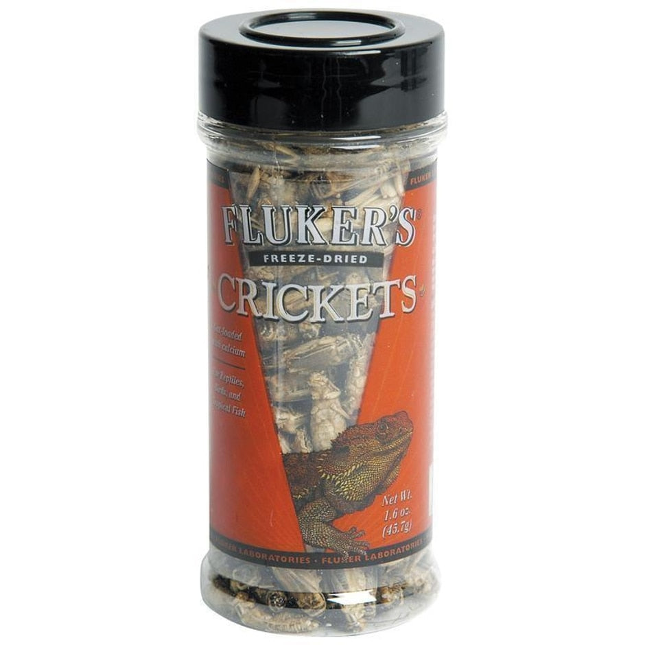 Curated visual reference: Gallery Detail: Fluker S Freeze Dried Crickets West Warwick Ri
