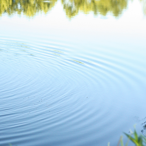 Pond Supplies