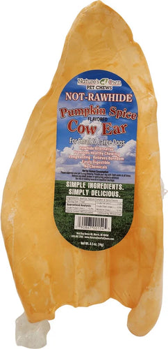 Pumpkin Spice Cow Ear