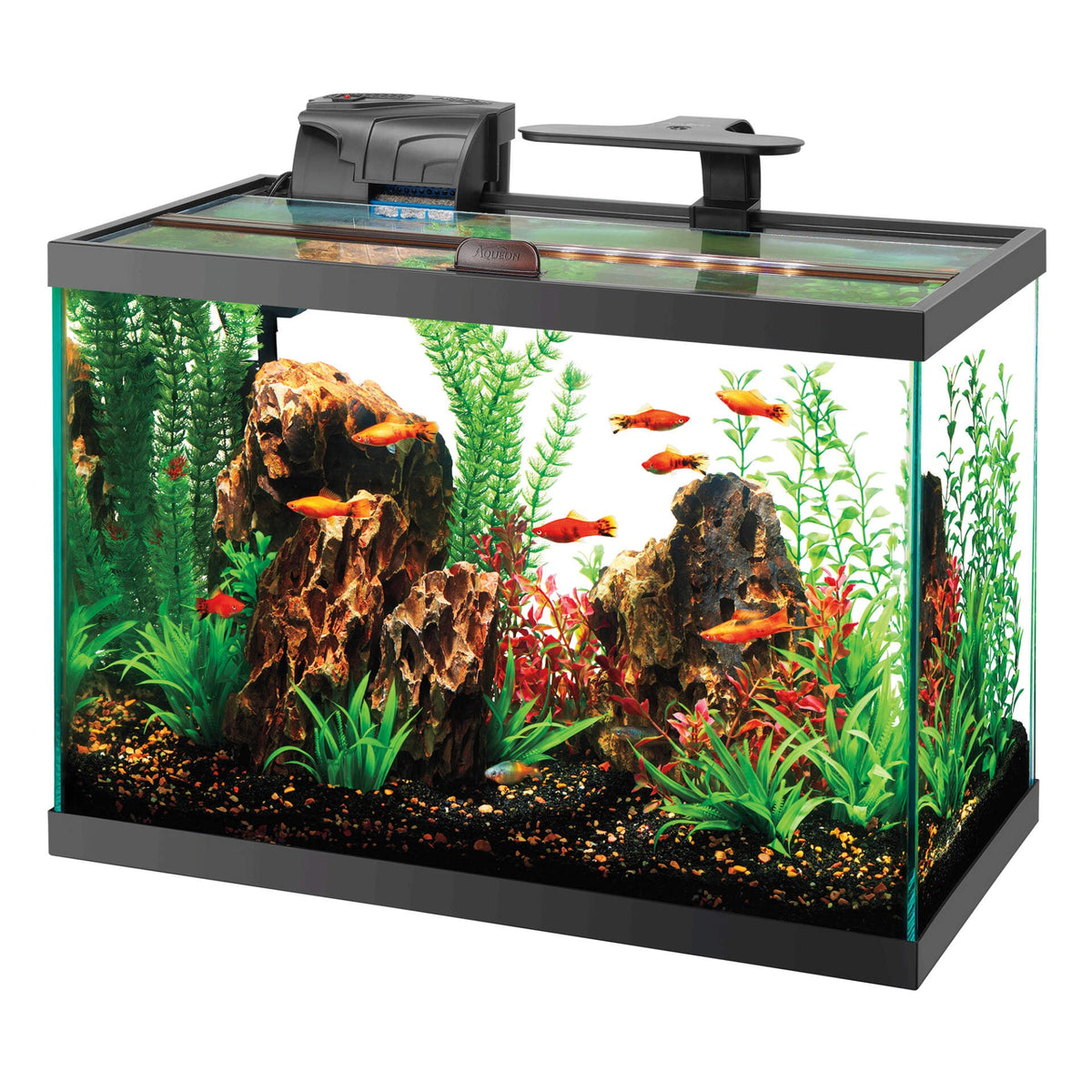 Aqueon Freshwater Aquarium ClipOn LED Lights (2Way) (2Way) West