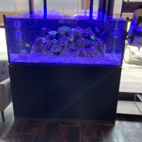 Inside of Fish Bowl Aquarium & Pet Mart