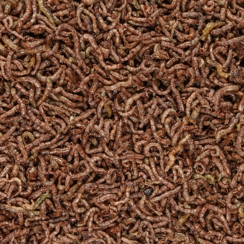 San Francisco Bay Brand Freeze Dried Bloodworms (3.5 oz)