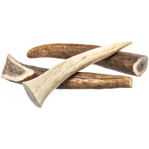 Redbarn Whole Deer Antler (X Large)