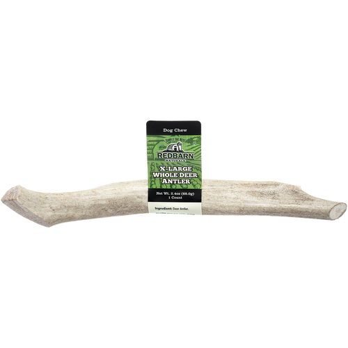 Redbarn Whole Deer Antler (X Large)