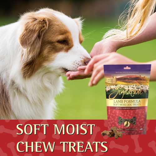 Zignature Soft Moist Dog Treats Lamb Formula