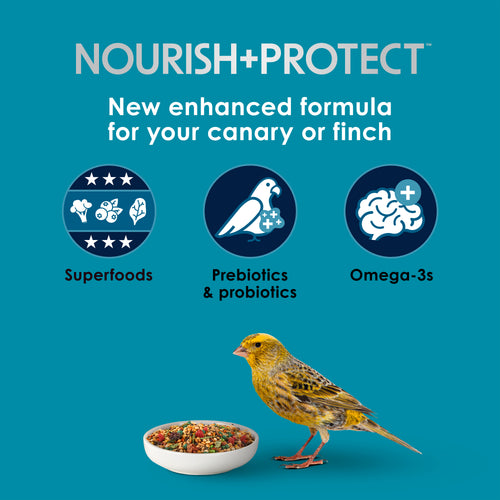 Kaytee Forti-Diet Pro Health Canary & Finch Food 2lb