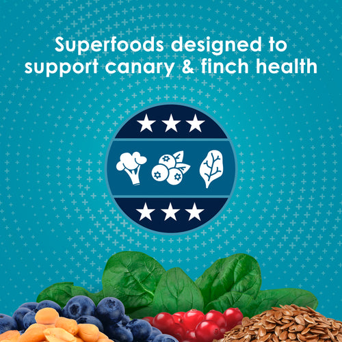 Kaytee Forti-Diet Pro Health Canary & Finch Food 2lb