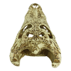 Komodo Alligator Skull (9)