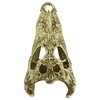 Komodo Alligator Skull (9)