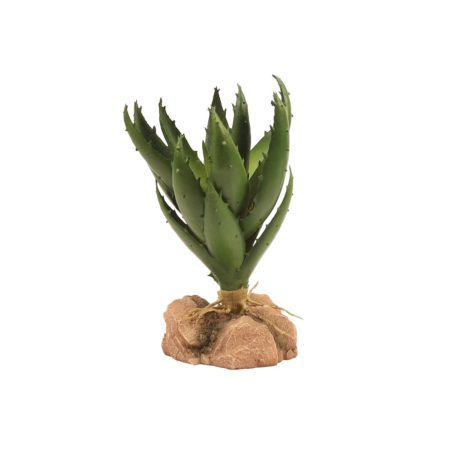 Zoo Med Desert Flora – Green Aloe