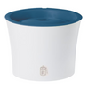 Catit Design Senses Fountain with Water Softening Cartridge