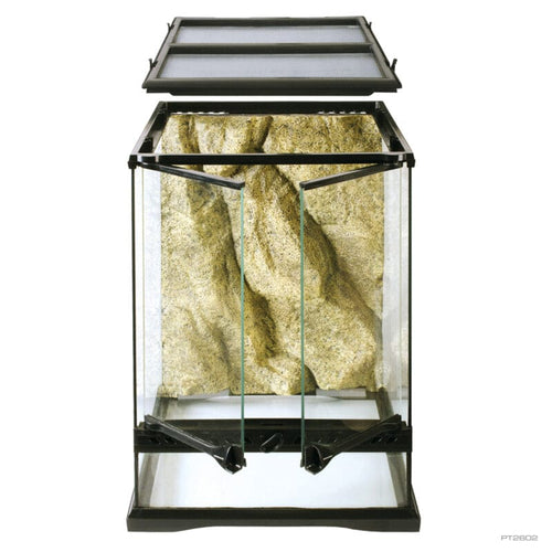 Exo Terra Glass Terrarium Mini Tall Advanced Glass Reptile Habitat (12 X 12 X 18 )