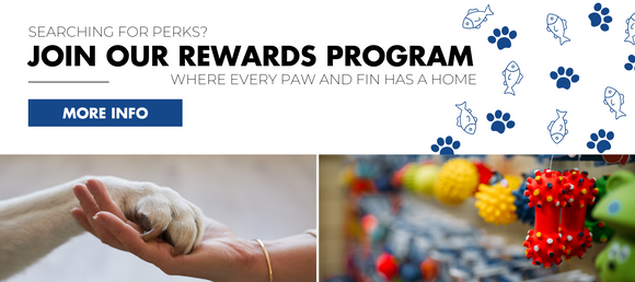 Searching for perks? Join our rewards program. Where every paw and fin has a home More Info