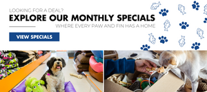 Looking for a deal? Explore our monthly specials. Where every paw and fin has a home View Specials