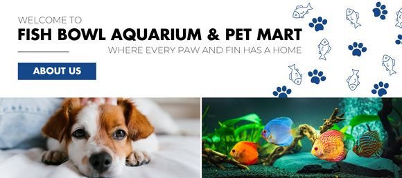 Welcome to Fish Bowl Aquarium and Pet Mart where every paw and fin has a home About Us