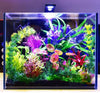 AQUATOP Venti 2-Gallon Professional Showcase Glass Aquarium Kit, VDA-03