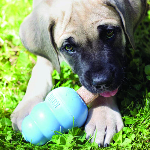 KONG Ziggies™ Puppy (Small)