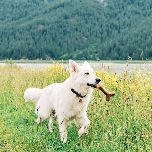 Benebone Bacon Stick