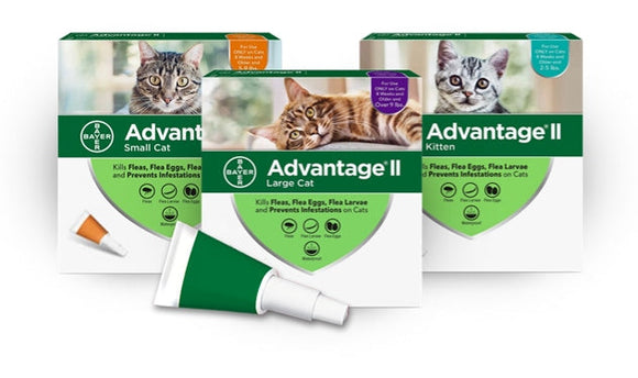 Elanco Advantage® II for Small Cats