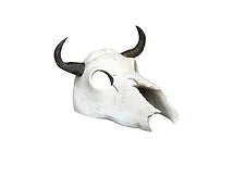 Weco Catacombs Longhorn Skull Aquarium Ornament (5 x 4.72 x 3.2)