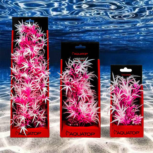 Aquatop Vibrant Fluorescent Cannabis Pink Frost Plant