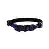 Coastal Pet Products Inspire Adjustable Dog Collar