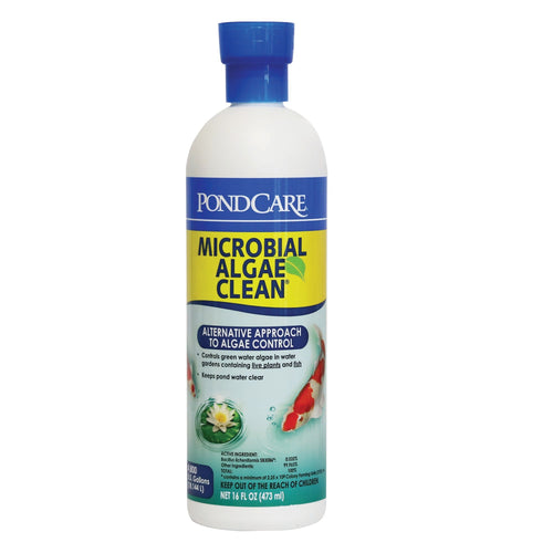 API MICROBIAL ALGAE CLEAN™ (16-oz)