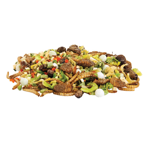 Zilla Reptile Munchies Omnivore (4 oz)