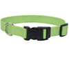 Coastal Adjustable Dog Collar with Metal Buckle (Lime)