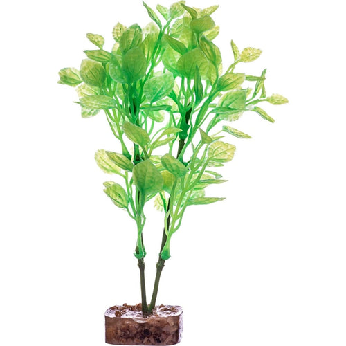 GLOFISH CYCLE LIGHT PLANT
