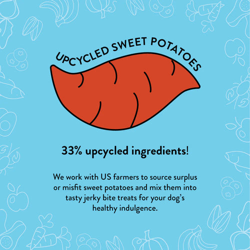 Shameless Pets Breakfast in Bed Jerky Bites For Dogs