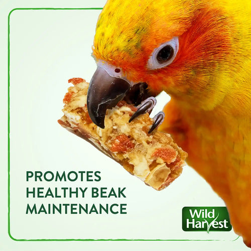 WILD HARVEST Tropical Granola Crunch Bars Bird Treats