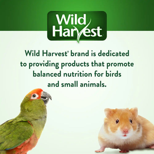 WILD HARVEST Tropical Granola Crunch Bars Bird Treats