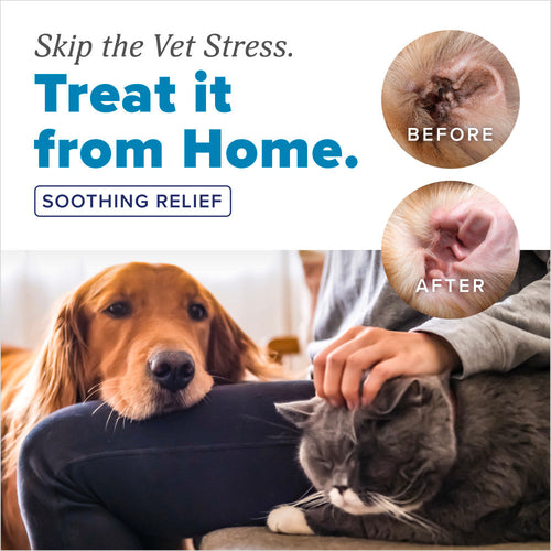 TropiClean HomeVet Ear Mite Treatment