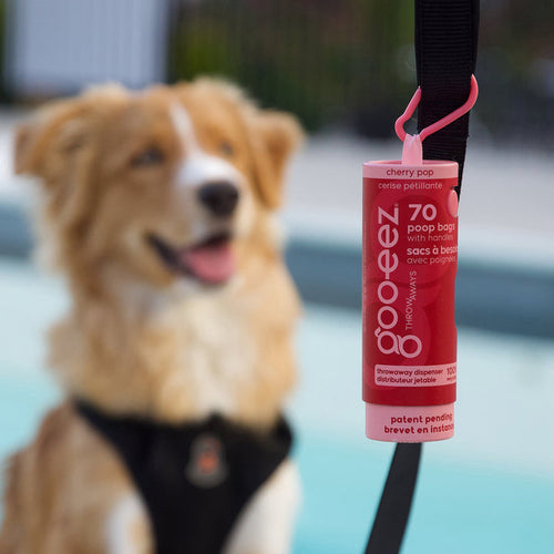 Goo-eez Throwaways Poop Bag Dispenser - Cherry Pop (70 Bags)