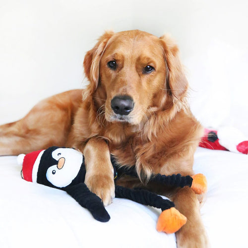 ZippyPaws Holiday Crinkle – Penguin Large Dog Toy