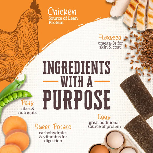 Wholesomes™ Rewards Chewy Chicken Mini Strips 7 oz. Dog Treats