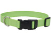 Coastal Adjustable Dog Collar with Metal Buckle (Lime)