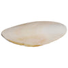 Prevue Cuttlebone (Large, 1 pc)