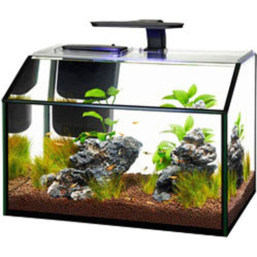 AQUEON SHRIMP LED AQUARIUM KIT (7.5 GAL-13X12X14 IN)