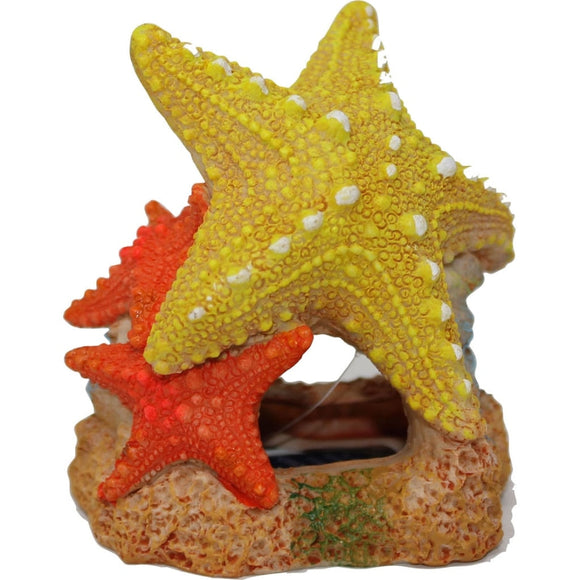 EXOTIC ENVIRONMENTS SEA STAR DUO (3.5X3X3.5 INCH)