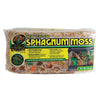 NEW ZEALAND SPHAGNUM MOSS