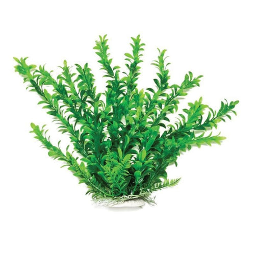 Aquatop Anacharis-Like Weighted Aquarium Plant (12 IN)