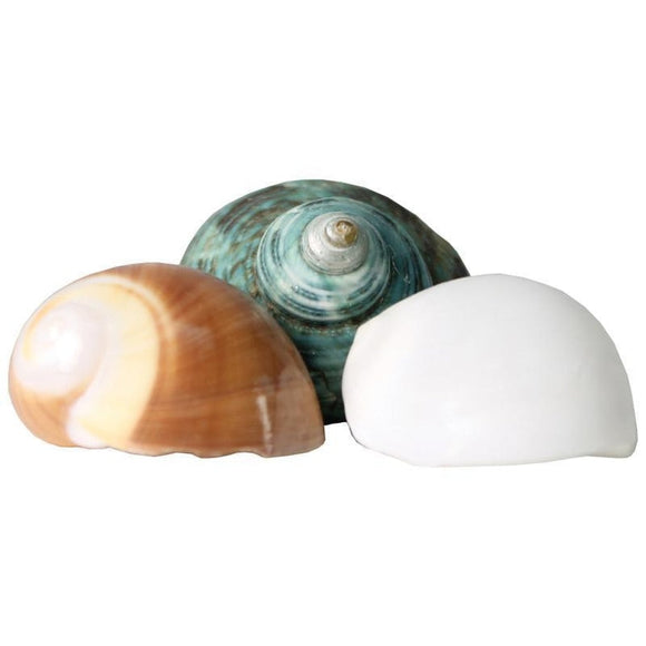 Fluker's Hermit Crab Growth Shells (LARGE/2 PACK)