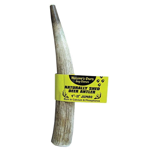 Nature's Own Naturally Shed Antler Dog Chew (7-9 INCH/REGULAR)