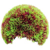 POPPY PET MOSS CAVE HIDEOUT (8 INCH)