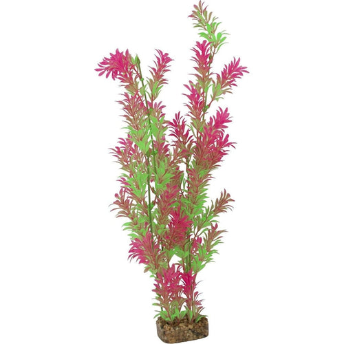 GLOFISH PLANT (XLARGE)