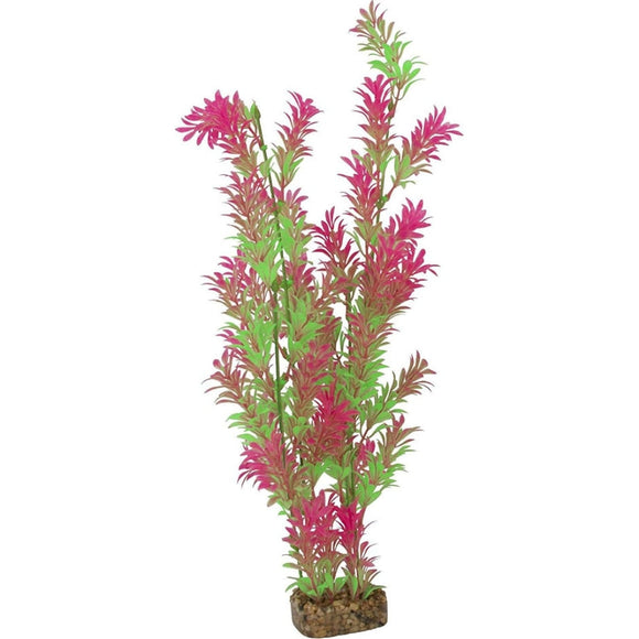 GLOFISH PLANT (XLARGE)