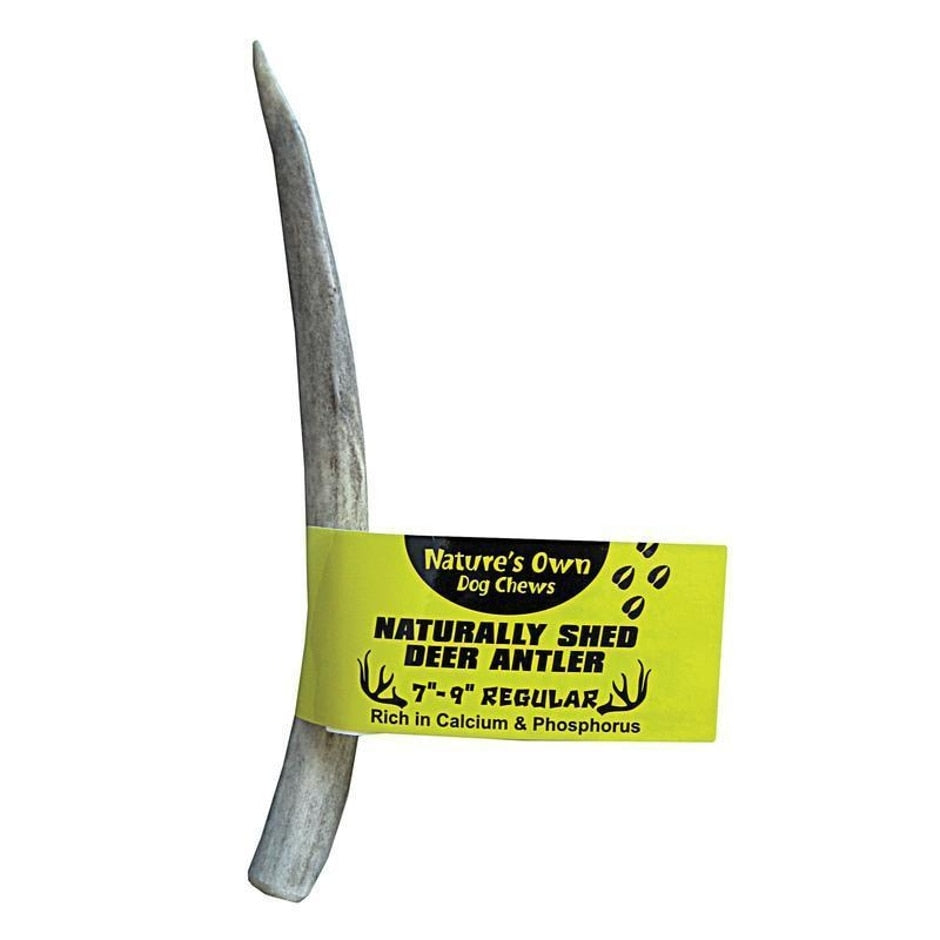 Nature's Own Naturally Shed Antler Dog Chew (79 INCH/REGULAR) West