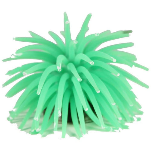 POPPY PET SEA ANEMONE (LARGE)